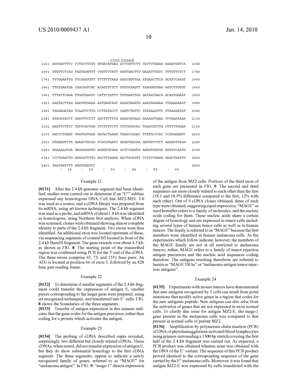 Isolated proteins MAGE-4 and MAGE-41 - diagram, schematic, and image 28