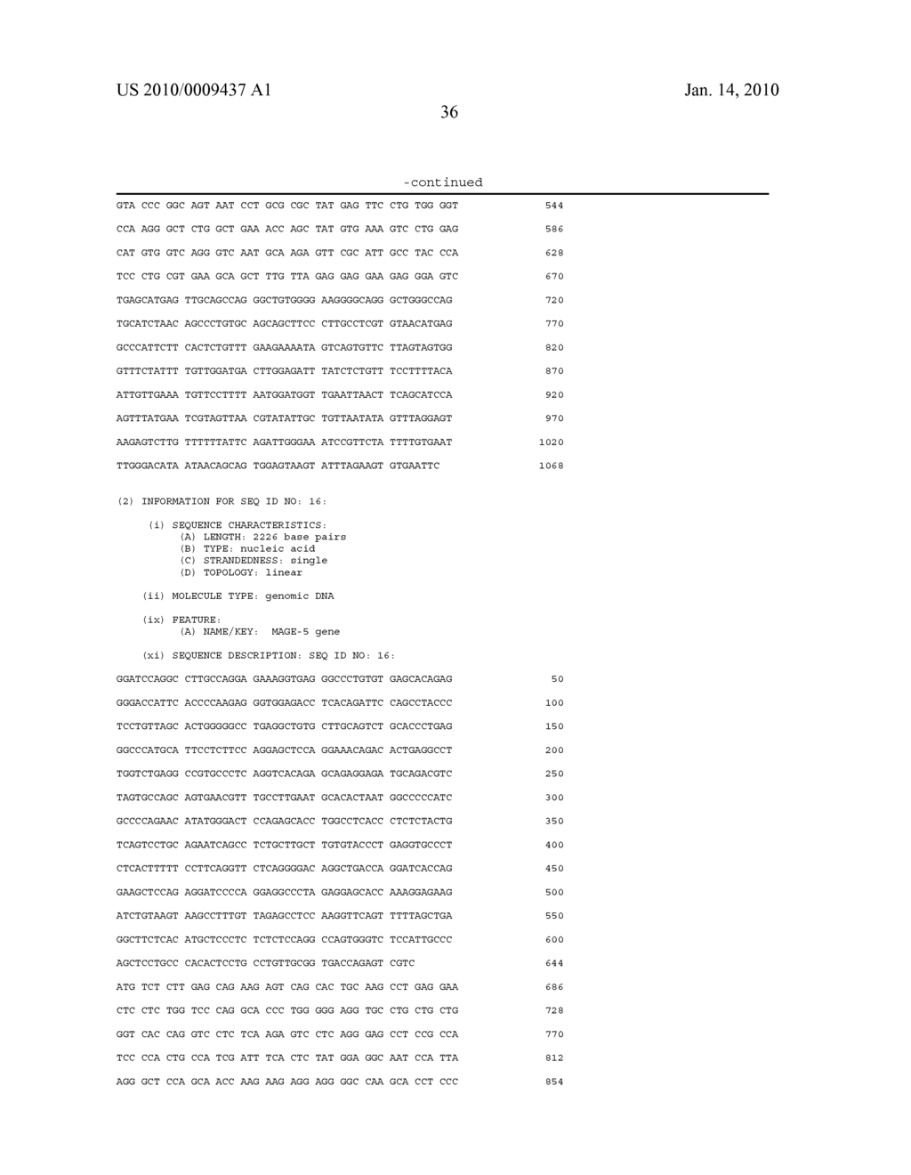 Isolated proteins MAGE-4 and MAGE-41 - diagram, schematic, and image 54