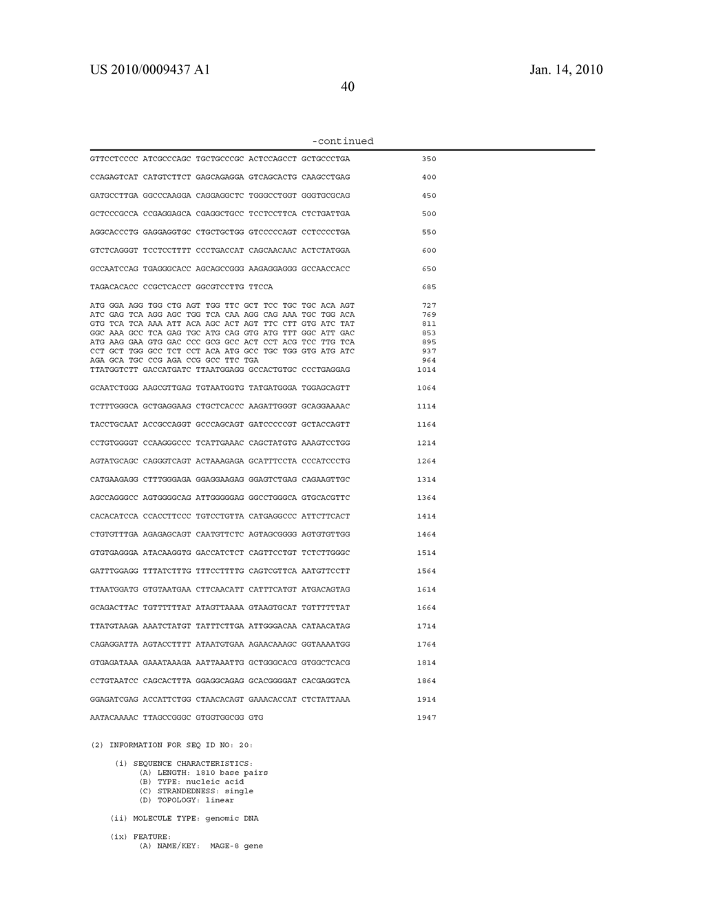 Isolated proteins MAGE-4 and MAGE-41 - diagram, schematic, and image 58