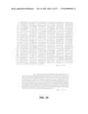 Preparation of Vaccine Master Cell Lines Using Recombinant Plant Suspension Cultures diagram and image