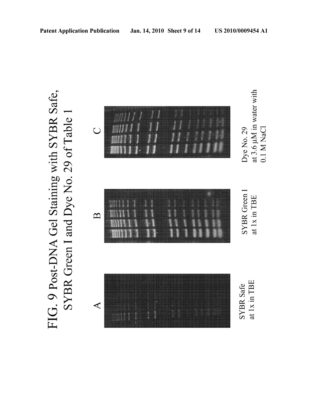 METHODS OF USING DYES IN ASSOCIATION WITH NUCLEIC ACID STAINING OR DETECTION AND ASSOCIATED TECHNOLOGY - diagram, schematic, and image 10