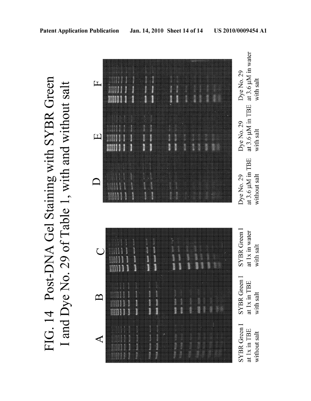 METHODS OF USING DYES IN ASSOCIATION WITH NUCLEIC ACID STAINING OR DETECTION AND ASSOCIATED TECHNOLOGY - diagram, schematic, and image 15