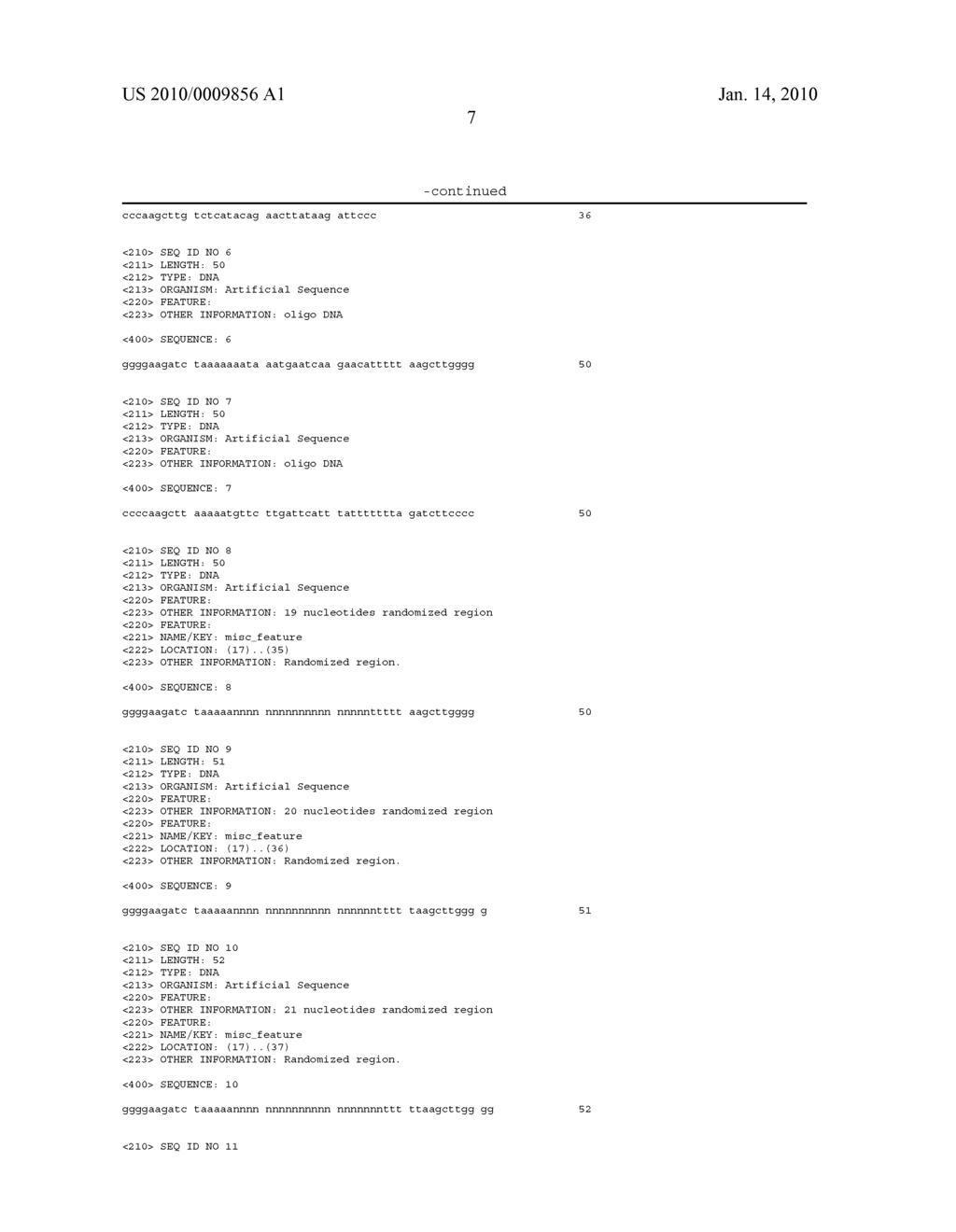 Randomized dna libraries and double-stranded rna libraries, use and method of production thereof - diagram, schematic, and image 13