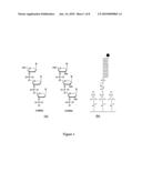 OLIGONUCLEOTIDE ARRAYS diagram and image