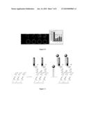 OLIGONUCLEOTIDE ARRAYS diagram and image