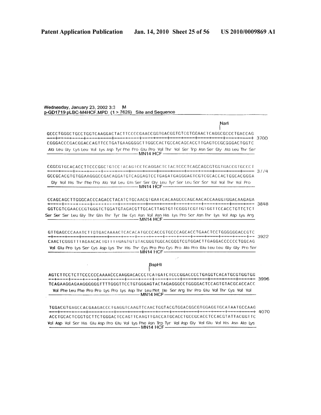 ANTIBODY LIBRARIES - diagram, schematic, and image 26