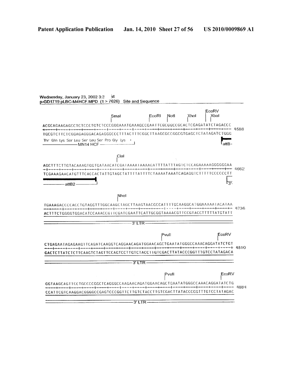 ANTIBODY LIBRARIES - diagram, schematic, and image 28