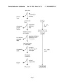 INSECTICIDAL EXTRACT FROM LEGUME PLANTS AND METHOD OF PREPARING THE SAME diagram and image