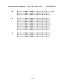 INSECTICIDAL EXTRACT FROM LEGUME PLANTS AND METHOD OF PREPARING THE SAME diagram and image