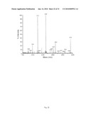 INSECTICIDAL EXTRACT FROM LEGUME PLANTS AND METHOD OF PREPARING THE SAME diagram and image