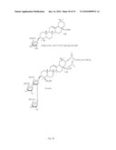 INSECTICIDAL EXTRACT FROM LEGUME PLANTS AND METHOD OF PREPARING THE SAME diagram and image