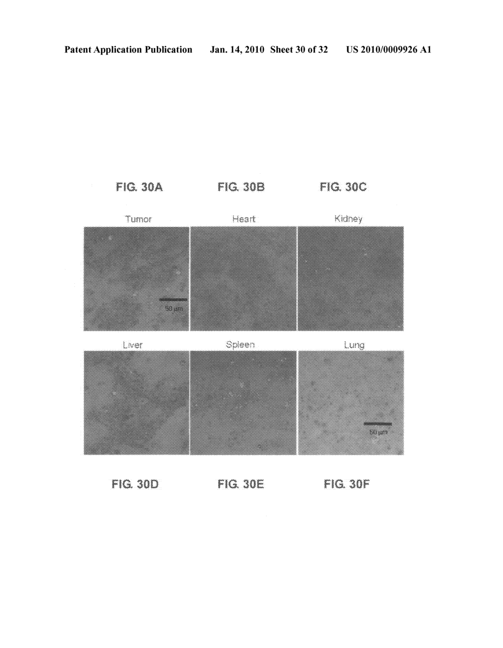 PH-SENSITIVE POLYMERIC MICELLES FOR DRUG DELIVERY - diagram, schematic, and image 31