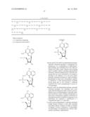 COMPOSITIONS INCLUDING TRICIRIBINE AND TAXANES AND METHODS OF USE THEREOF diagram and image