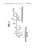 RESISTANCE-REPELLENT RETROVIRAL PROTEASE INHIBITORS diagram and image