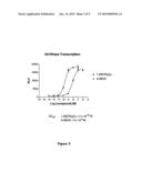 19-Nor-Vitamin D Analogs with 1,2-Dihydrofuran Ring diagram and image