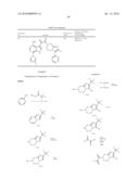 Diketo Fused Azolopiperidines and Azolopiperazines as Anti-HIV Agents diagram and image