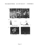 Liver-directed gene therapy diagram and image