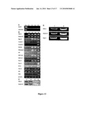 Liver-directed gene therapy diagram and image