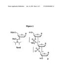 Extended Length Borane Phosphonate Nucleic Acid Compounds diagram and image