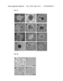 MEDIUM AND DEVICE FOR PROLIFERATION OF STEM CELLS AND TREATMENT OF CANCER-RELATED STEM CELL WITH RESVERATROL diagram and image