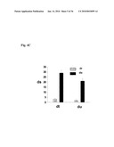 MEDIUM AND DEVICE FOR PROLIFERATION OF STEM CELLS AND TREATMENT OF CANCER-RELATED STEM CELL WITH RESVERATROL diagram and image