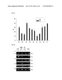 MEDIUM AND DEVICE FOR PROLIFERATION OF STEM CELLS AND TREATMENT OF CANCER-RELATED STEM CELL WITH RESVERATROL diagram and image