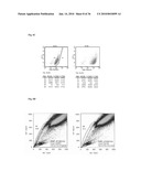 MEDIUM AND DEVICE FOR PROLIFERATION OF STEM CELLS AND TREATMENT OF CANCER-RELATED STEM CELL WITH RESVERATROL diagram and image