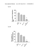 MEDIUM AND DEVICE FOR PROLIFERATION OF STEM CELLS AND TREATMENT OF CANCER-RELATED STEM CELL WITH RESVERATROL diagram and image