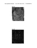 MEDIUM AND DEVICE FOR PROLIFERATION OF STEM CELLS AND TREATMENT OF CANCER-RELATED STEM CELL WITH RESVERATROL diagram and image