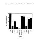 Novel tumor necrosis factor receptor homolog and nucleic acids encoding the same diagram and image