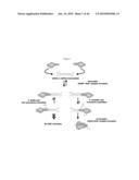 siRNA Targeting Hypoxia-Inducible Factor 1 diagram and image