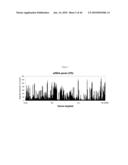 siRNA Targeting Hypoxia-Inducible Factor 1 diagram and image