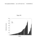 siRNA Targeting Hypoxia-Inducible Factor 1 diagram and image