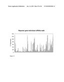 siRNA Targeting Hypoxia-Inducible Factor 1 diagram and image