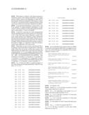 siRNA Targeting Hypoxia-Inducible Factor 1 diagram and image