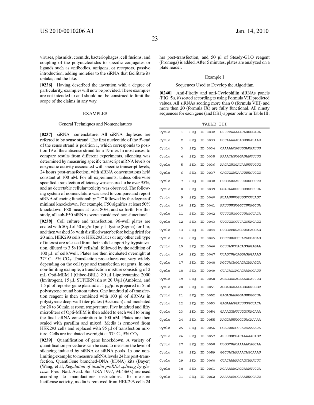 siRNA Targeting Hypoxia-Inducible Factor 1 - diagram, schematic, and image 68