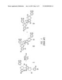 SYNTHESIS OF POLYCYCLIC PROCYANIDINS diagram and image