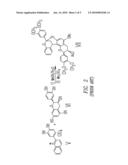 SYNTHESIS OF POLYCYCLIC PROCYANIDINS diagram and image