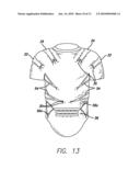 SENSORY MOTOR STIMULATION GARMENT AND METHOD diagram and image