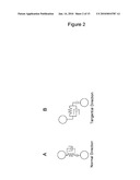 PLATELET THROMBUS FORMATION SIMULATOR diagram and image