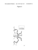 PLATELET THROMBUS FORMATION SIMULATOR diagram and image