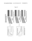 PLATELET THROMBUS FORMATION SIMULATOR diagram and image