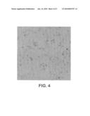 METHOD FOR DETERMINING THE EFFECTS OF EXTERNAL STIMULI ON BIOLOGICAL PATHWAYS IN LIVING CELLS diagram and image