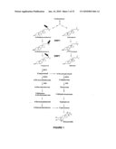 PLANTS HAVING ENHANCED YIELD-RELATED TRAITS AND A METHOD FOR MAKING THE SAME diagram and image