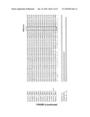 PLANTS HAVING ENHANCED YIELD-RELATED TRAITS AND A METHOD FOR MAKING THE SAME diagram and image