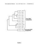 PLANTS HAVING ENHANCED YIELD-RELATED TRAITS AND A METHOD FOR MAKING THE SAME diagram and image