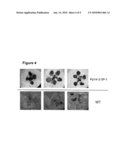 Signal Transduction Stress-Related Proteins and Methods of Use in Plants diagram and image