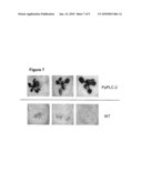 Signal Transduction Stress-Related Proteins and Methods of Use in Plants diagram and image