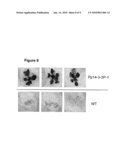 Signal Transduction Stress-Related Proteins and Methods of Use in Plants diagram and image