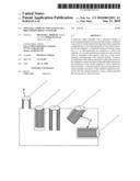 EPITAXIAL GROWTH AND CLONING OF A PRECURSOR CHIRAL NANOTUBE diagram and image